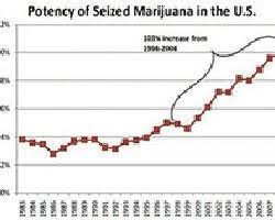 Chronic, Heavy Use And The Increasing Potency Of Marijuana