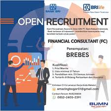 Pt bank rakyat indonesia (persero), tbk (bri atau bank bri) adalah salah satu bank bumn terbesar di indonesia. Lowongan Kerja Bri Life Januari 2020