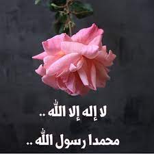 خلفيات لا اله الا الله محمد رسول الله متحركه makusia images instagram instagram photo photo and video