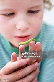 97 6years Stock Photos, High-Res Pictures, and Images