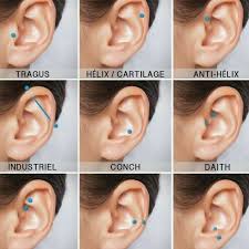 piercing ideas in 2019 piercings ear piercings cool in 2021 cool ear piercings ear piercings daith piercing