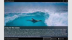 Get Bing Wallpaper Download Microsoft Store