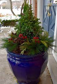 Christmas Tree Planter Tree Planters Small Christmas Trees Christmas Planters