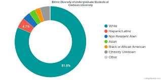 Clarkson University Diversity Racial Demographics Other Stats