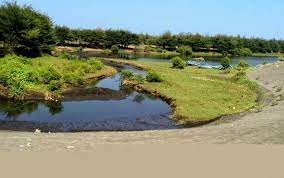 Pantai kebumen tak hanya menawarkan air laut semata. Pesona Keindahan Wisata Pantai Laguna Di Lembupurwo Kebumen Jawa Tengah Ihategreenjello