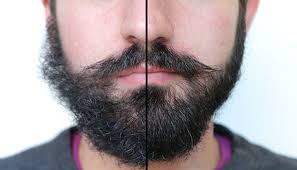 beard grooming tips and steps 8 ways to maintain your beard irl birchbox