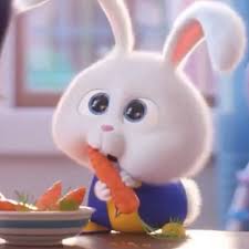 Immediately download the latest snowball rabbit stickers for wastickerapps so that your chat will be more fun. Pin Di Yang Saya Simpan