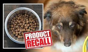 After publishing three recall alerts this week in connection with possible salmonella contamination, another food brand is notifying customers about the same issue. Dog Food Recall Manufacturer Recalls Food Over Salmonella Contamination Fears Full List Express Co Uk