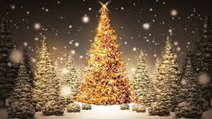Noel Le 25 Decembre C Est Une Fete Familiale Un Sapin De Noel Et Une Creche Sont Installes Dans La Maison Sapin De Noel Joyeux Noel Joyeux Reveillon De Noel