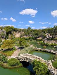 Image result for Brackenridgea