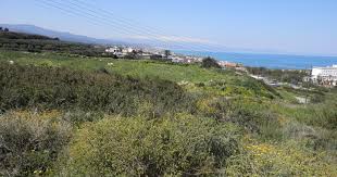Check spelling or type a new query. Re8ymno Problhmatismos Kai Antidraseis Apo Toys Katoikoys Ths Skaletas Gia Thn Xara3h Toy Neoy Boak Rethemnos News
