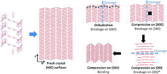 Ppt - Chapter 4: Integumentary System Powerpoint Presentation, Free  Download - Id:292990