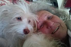 Fundraiser by Chrissy Snell : Our Angel has a Broken Wing and Need Your  Help!