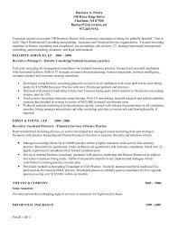 Big 4 Cv Template Resume Examples Cv Template Professional Resume Examples Resume Examples