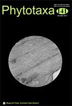 Image result for Stomatanthes