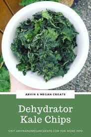 Dehydrator Kale Chips Arvin Megan Create Recipe In 2020 Kale Chips Homemade Kale Chips Raw Food Recipes