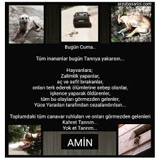 Hayvanlara Yapilan Siddet Cezasiz Kalmasin Arzu Basarici Arzubasarici Com Ataturk Turkcu Turanci Turkiye Aztagram Bordobere Sefiller Hayvan Dualar