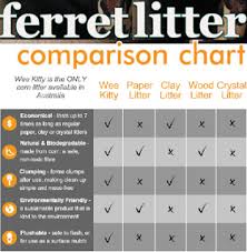 Can Ferrets Use Cat Litter Whats The Best Litter For