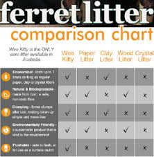 can ferrets use cat litter whats the best litter for