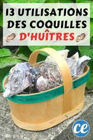 Ou l'utiliser pour déboucher ses canalisations (évier, wc) ? Ne Jetez Plus Les Coquilles D Huitres 13 Utilisations Etonnantes Que Personne Ne Connait