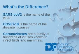 And don't panic if you still feel lousy after a week of illness. Ask Idf What You Re Asking About Covid 19 Immune Deficiency Foundation