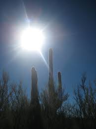 Tucson Az Something About The Dry Desert It S Just Beautiful Dry Desert Tucson Light Em Up