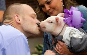 Grand Island physician kisses a piglet in quest to end Alzheimer's