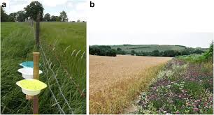 This is what we specialize in. Semi Natural Habitats Support Biological Control Pollination And Soil Conservation In Europe A Review Springerlink