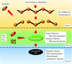 What animal cell organelles are represented well in makena?s model. Review Of Recent Advances In The Biodegradability Of Polyhydroxyalkanoate Pha Bioplastics And Their Composites Green Chemistry Rsc Publishing Doi 10 1039 D0gc01647k