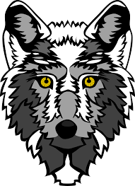 Black and white anime wolf by bloodsheretohavefun on deviantart. Download Wolf Vector Art Animated Wolf Head Transparent Png Image With No Background Pngkey Com