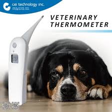 We did not find results for: Pet Care Clinic Veterinary Equipment For Sale Veterinary Thermometer Taiwantrade Com