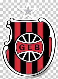 Brasileirão série a 2020 animated logo intro. Logo 2011 Campeonato Brasileiro Serie B Brand Green Png Clipart Area Brand Cooming Soon Diagram Graphic Design Free Png Download