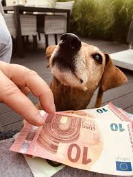 Geldbeträge zerlegen geld rechnen mit größen mathe klasse 3. Wo Wird Unser Geld Gedruckt Deichdog
