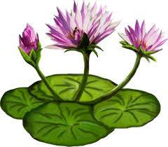 Terate bermakna dapat hidup dimanapun dengan situasi dan kondisi apapun. Edopilpay Bunga Terate Psht