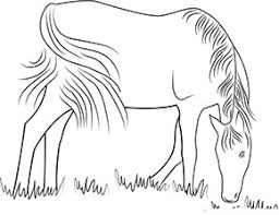 Ausmalbild Pferd Auf Der Weide Zum Kostenlosen Ausdrucken Und Ausmalen Ausmalbilder Malvorlagen Hund In 2020 Ausmalbilder Ausmalen Ausmalbilder Zum Ausdrucken