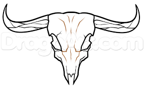 Steer Skull Drawing Step 5 Skull Drawing Animal Skull Drawing Deer Skull Drawing