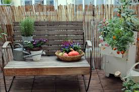 Der sommer ist vorbei und der winter nähert sich in riesenschritten! Herbst Am Balkon Jetzt Auf Dem Garten Blog Vom Garten Fraulein