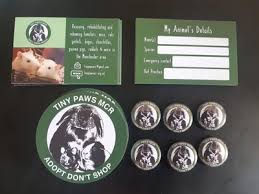 Get access to exclusive content and experiences on the world's largest membership platform for artists and creators. Tiny Paws Mcr Small Animal Rescue Is Creating Better Lives For Small Animals Patreon