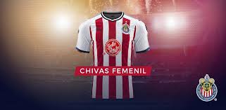 Sitio oficial de liga mx femenil del fútbol mexicano, con partidos, clubes, resultados y estadística en línea, directo desde el estadio. Los Numeros De Femenil Para El Cl18