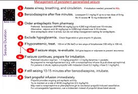 status epilepticus treatment flow chart and excerpts help