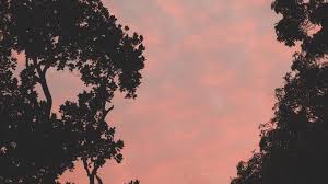 Aesthetic 1366x768 Wallpapers Top Free Aesthetic 1366x768 Backgrounds Wallpaperaccess