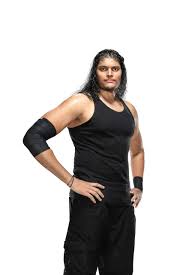 So, before we resume with the punjabi celebration, please join along as shekki sings the modern day maharaja. In Pics Here S Who Will Feature In Wwe Superstar Spectacle On India S Republic Day