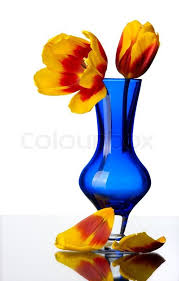 We did not find results for: Pin On Split Complementary Colour Scheme