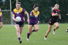 Tim Murphy takes over as chairman of Munster GAA with Sean Michael O'Regan  elected as vice-chair