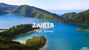 ظہیر Zaheer Name Meaning In Urdu Arabic Names For Boys