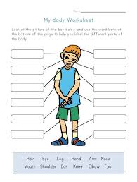 As part of our unit on the human body we learned about our amazing skeletal system through a variety of hands on projects and this informational, free printable skeletal system worksheet pack for kids from kindergarten, first grade, 2nd the pages in this skeletal system worksheet pdf grade 4 include Pin On Science