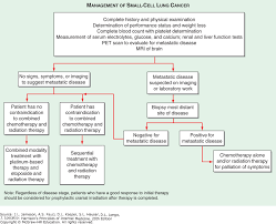 Neoplasms Of The Lung Harrisons Principles Of Internal