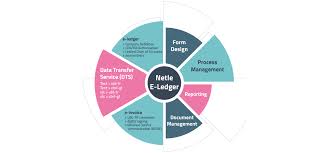 E Ledger Netle Global E Transformation E Invoice E