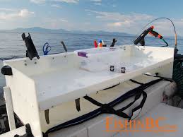 Pin On Fish Cutting Table