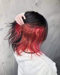 Ideias Para Colorir Os Cabelos Hair Color Underneath Dyed Hair Under Hair Dye